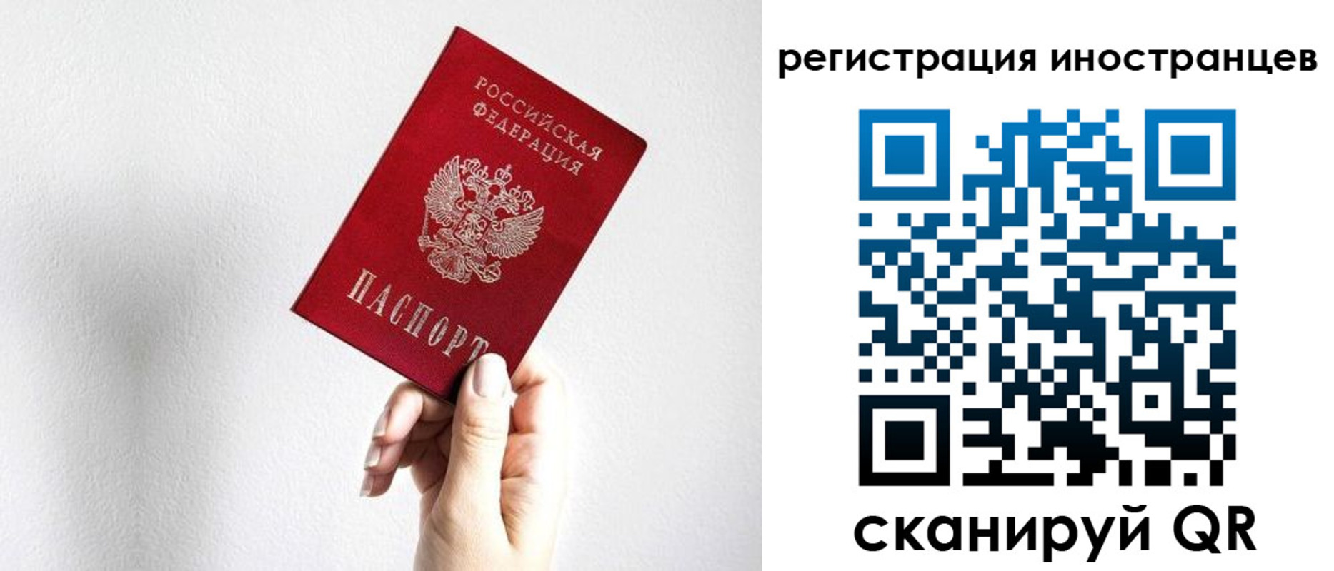 прописка законно в Калининграде
