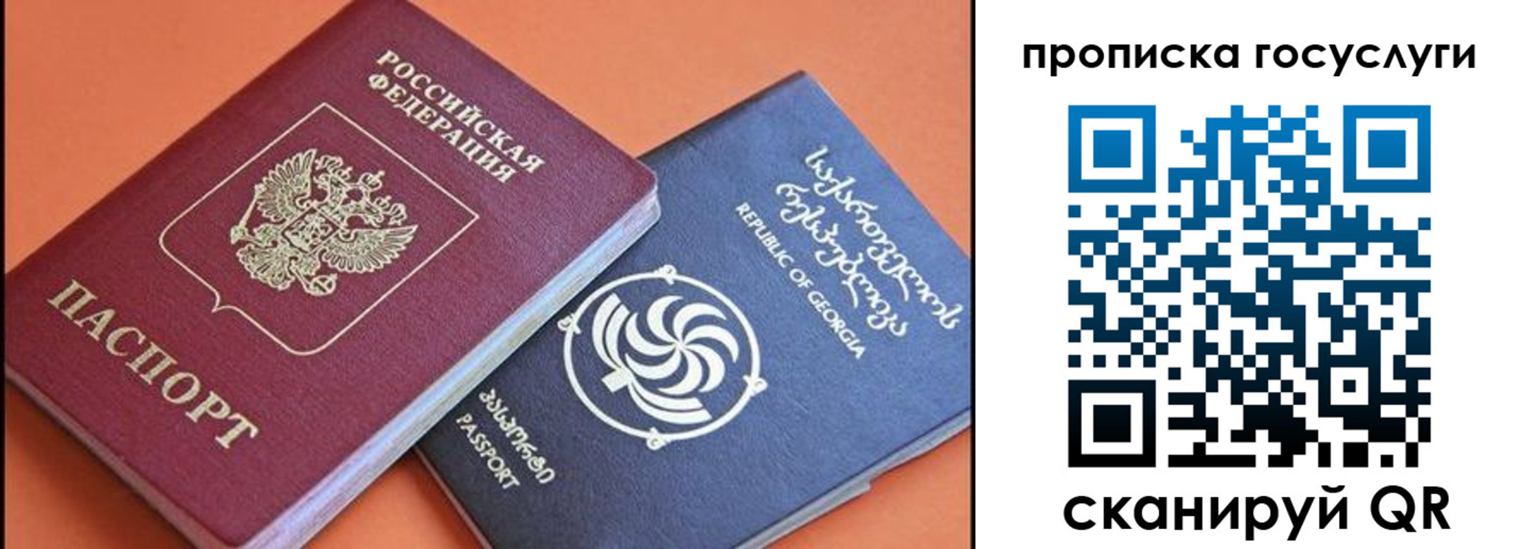 прописка поиск в Калининграде